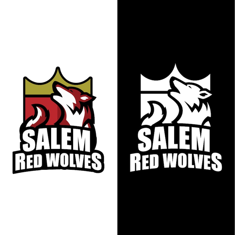 Salem Christian Academy Dobson NC mascot logos